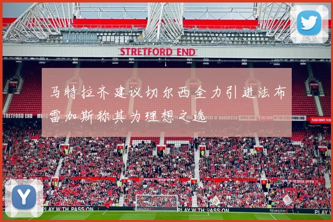 马特拉齐建议切尔西全力引进法布雷加斯称其为理想之选