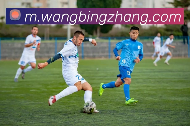奖项证书